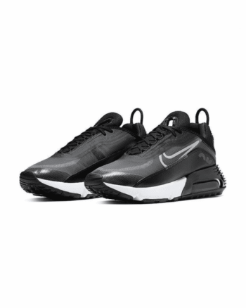 Кросівки чоловічі Nike Air Max 2090 CW7306-001 літо текстиль синтетика сітка чорні
