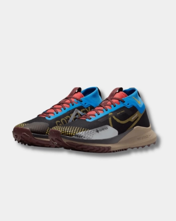 Кроссовки мужские Nike Pegasus Trail 4 Gore-Tex DJ7926-003 весна-осень текстиль мембрана разноцветные
