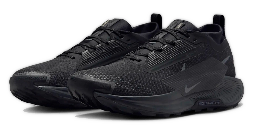 Кросівки чоловічі Nike Pegasus Trail 5 GTX FQ0908-002 весна-осінь текстиль мембрана чорні